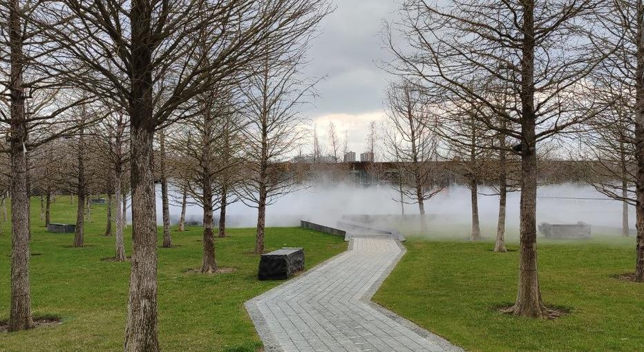 Фото Новая Кубань