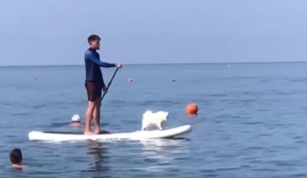 Bitrix 99487: 00.png