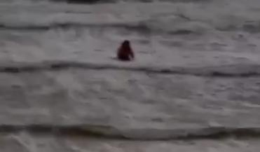 Bitrix 103030: 0100.png