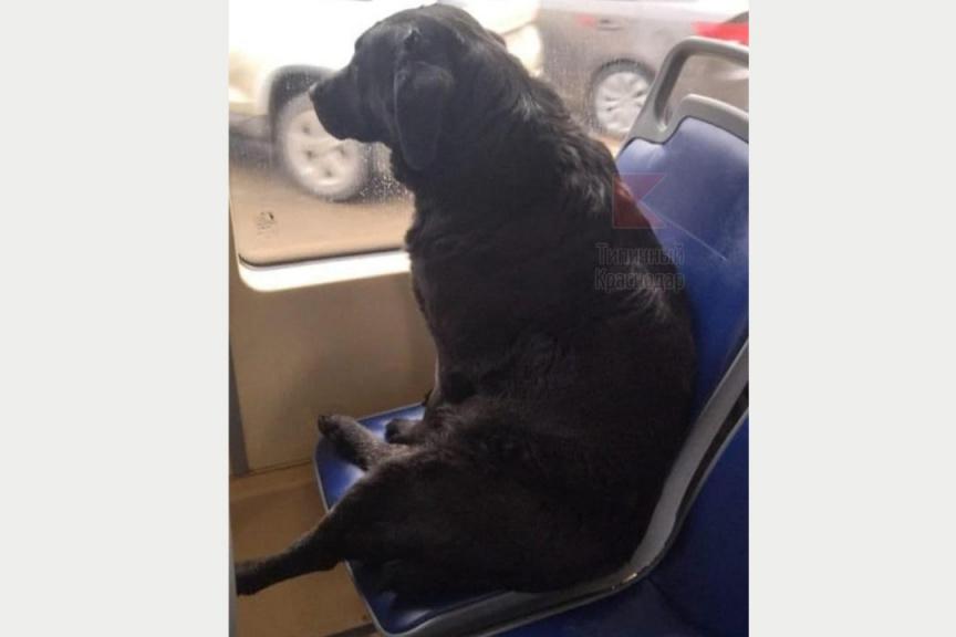 Bitrix 112789: 011.jpeg