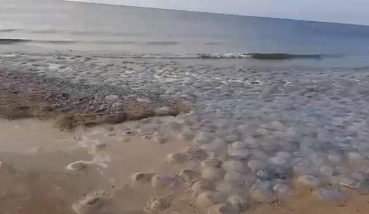 Bitrix 100152: 011.png