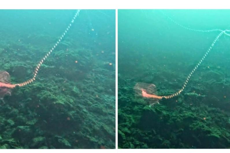 Bitrix 169715: 011.jpg