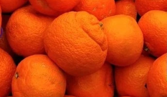 Bitrix 166505: 011.jpg