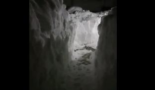 Bitrix 111795: 0123.png