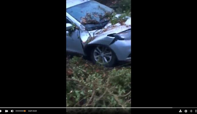 Bitrix 90733: 012.jpg