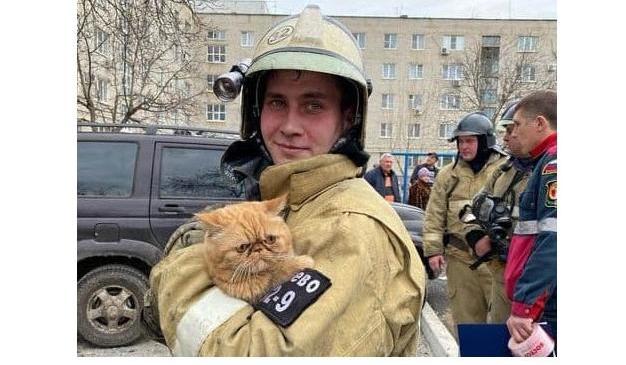 Bitrix 89971: 012.jpg