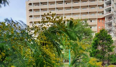 Bitrix 98019: 012.png