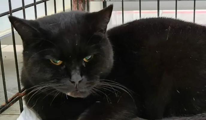 Bitrix 107766: 013.jpg