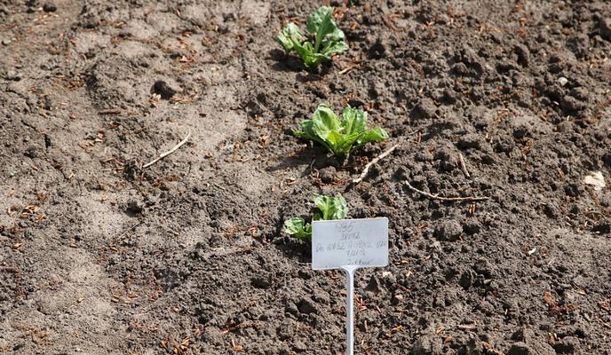 Bitrix 116773: 013.jpeg