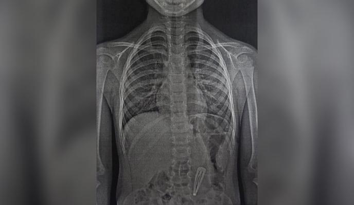 Bitrix 105994: 014.jpg