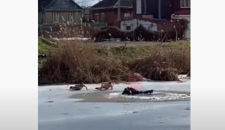 Bitrix 89780: 0155.jpg