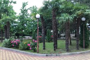 01572344-de73-4ef9-bc65-76a1662a7c59