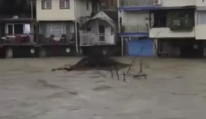 Bitrix 121072: 01.jpeg