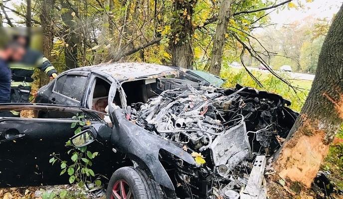 Bitrix 106138: 01.jpg