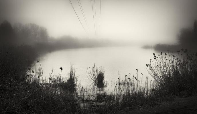 Bitrix 97519: 01_Dmitriy_Senik_Kamysh_s_provodami.jpg