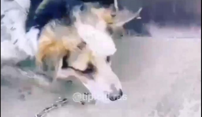 Bitrix 95340: 01.jpg