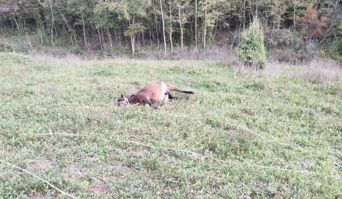 Bitrix 104704: 01.jpg