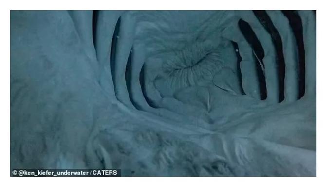 Bitrix 162149: 01.jpg