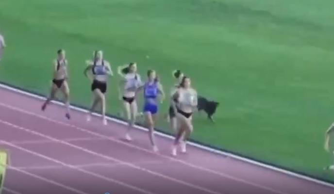 Bitrix 154960: 0202.jpg