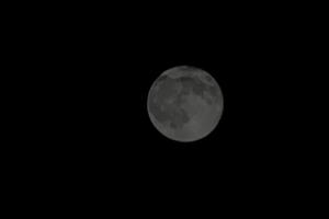 Bitrix 180991: 023.jpg