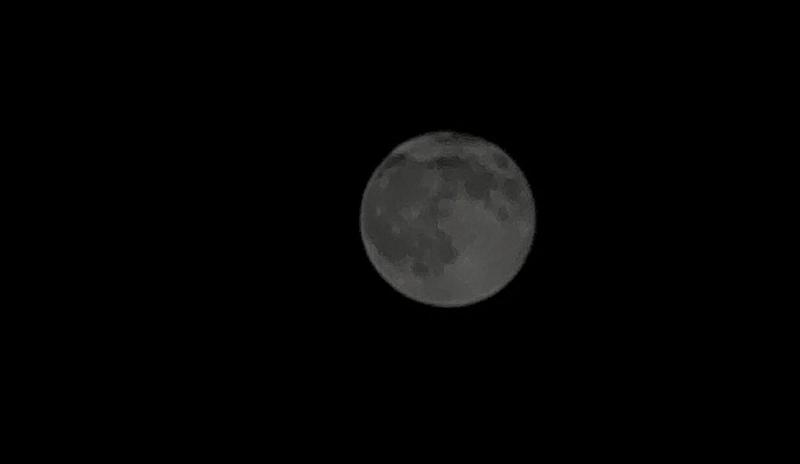 Bitrix 180991: 023.jpg