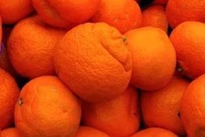 Bitrix 181660: 029.jpg