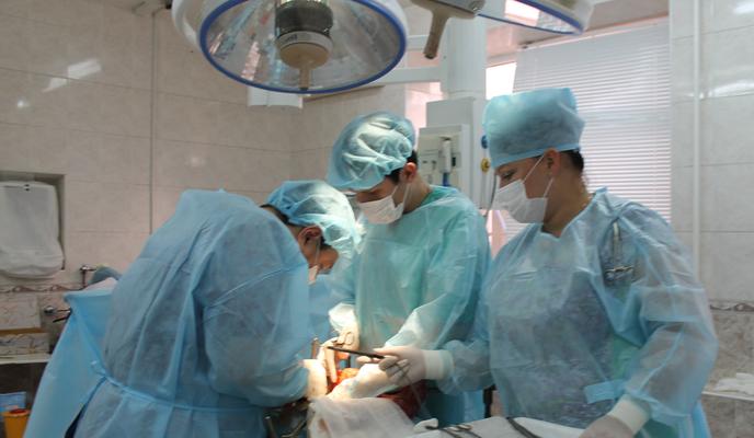 Bitrix 95810: 02.jpg