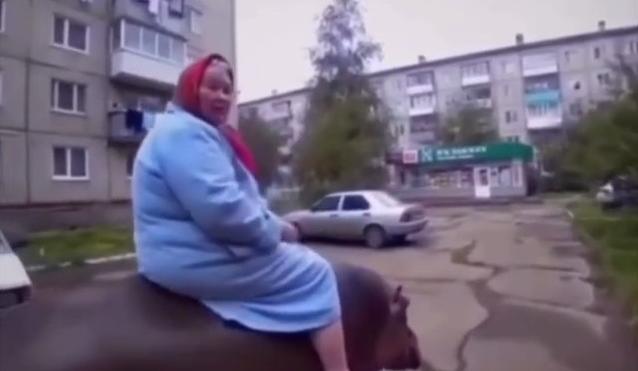 Bitrix 172258: 02.jpg