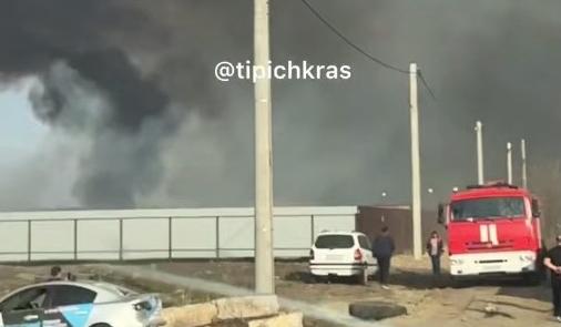 Bitrix 185313: 02.jpg