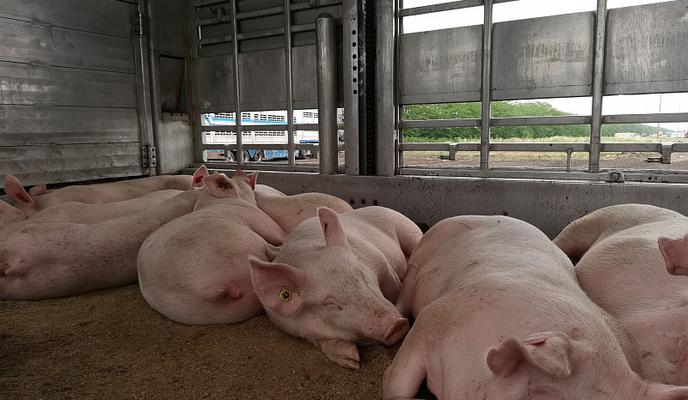 Bitrix 126766: 02.jpg