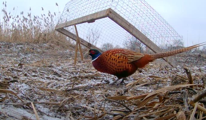 Bitrix 126462: 02.png