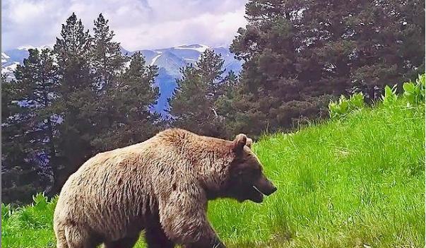 Bitrix 103572: 02.png