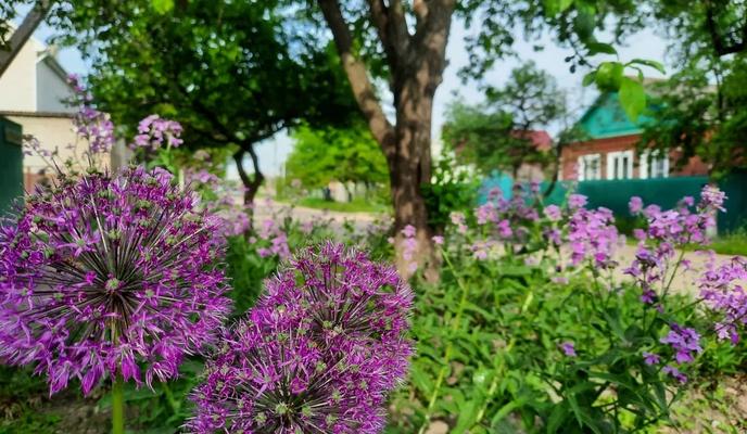 Bitrix 185706: 02.jpeg