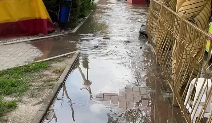 Bitrix 105376: 02.jpeg