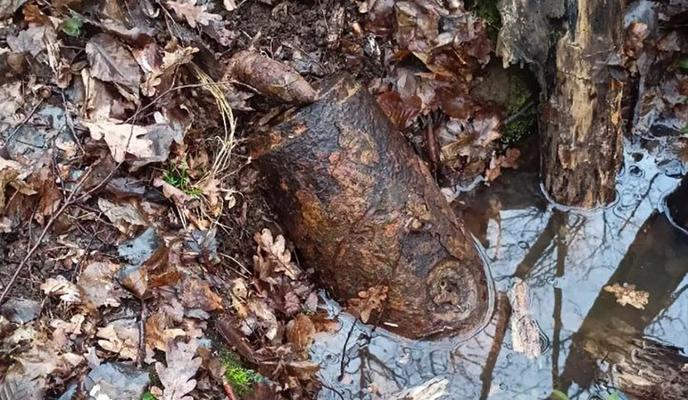 Bitrix 183491: 032.jpg