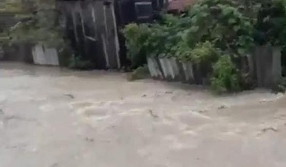 Bitrix 96020: 0333.jpg