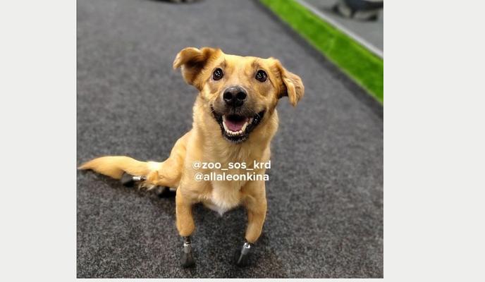 Bitrix 114452: 033.png