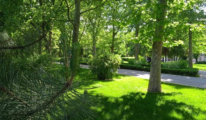 Bitrix 96974: 0340d4d5_992e_4efe_98e6_fa2190eac137.jpg