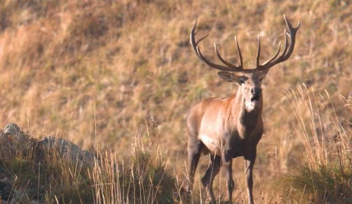 Bitrix 185188: 036.jpg