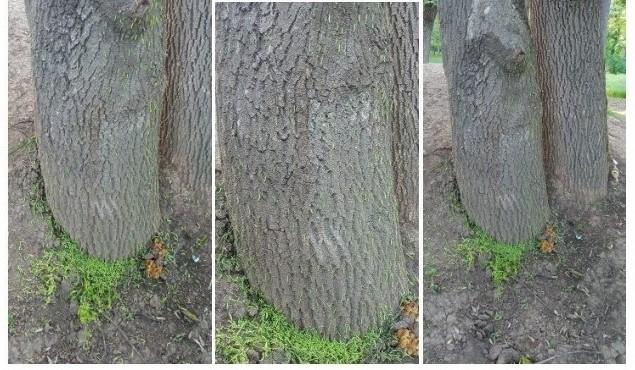 Bitrix 96546: 03.jpeg