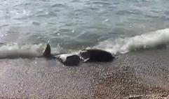 Bitrix 113420: 03.png