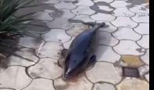 Bitrix 111541: 03.png