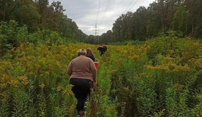 Bitrix 103123: 03.png