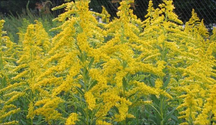 Bitrix 102657: 03.jpg