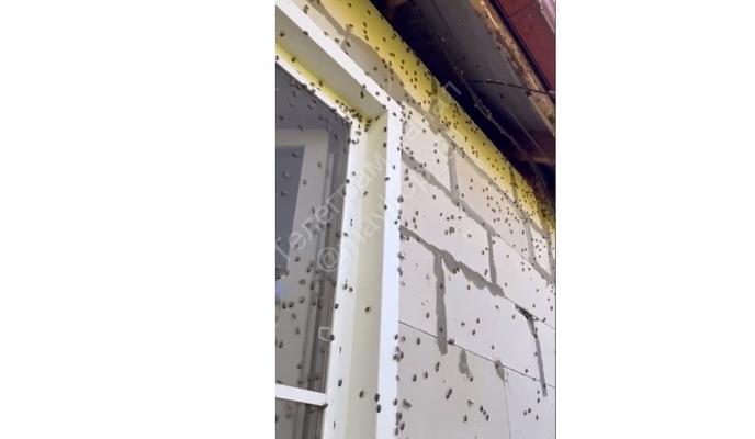 Bitrix 159666: 03.jpg