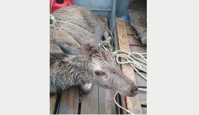 Bitrix 126494: 0444.png