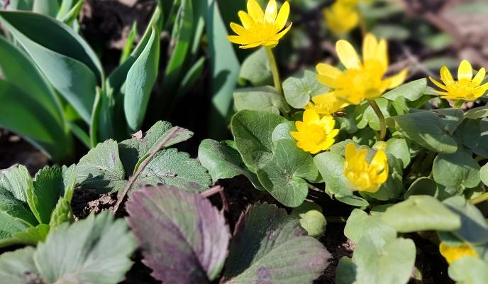 Bitrix 183931: 044.jpg