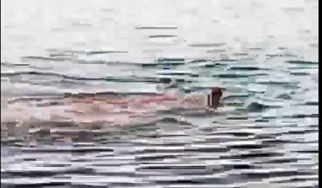 Bitrix 120113: 044.png