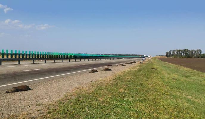 Bitrix 123553: 04.jpeg