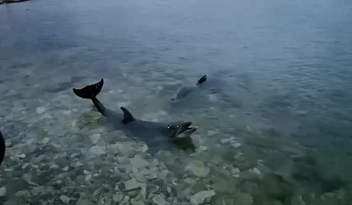 Bitrix 125469: 04.jpeg